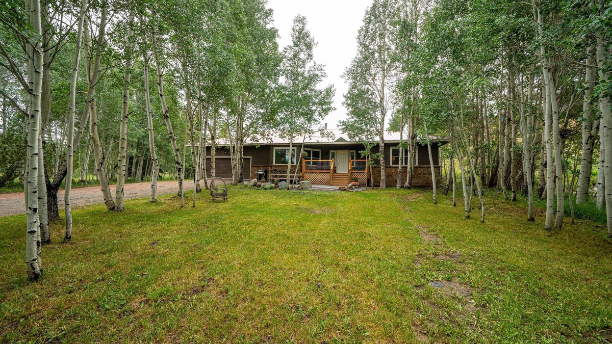 Crested Butte South House | Aspen House