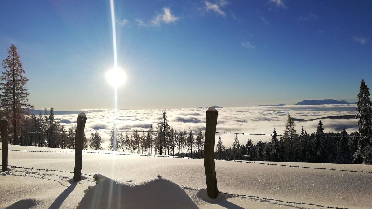 Bad Sankt Leonhard im Lavanttal Cabin | Almhütte mit Sonnenterrasse - Holzofen - Sauna