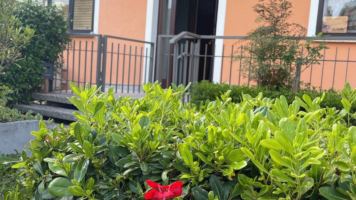 Bottenicco Apartment | At Gallo ground floor -spacious apartment for your relaxation/with outdoor space