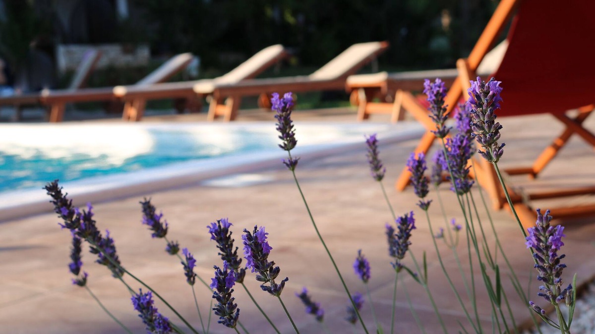 Manjadvorci House | At nature's doorstep