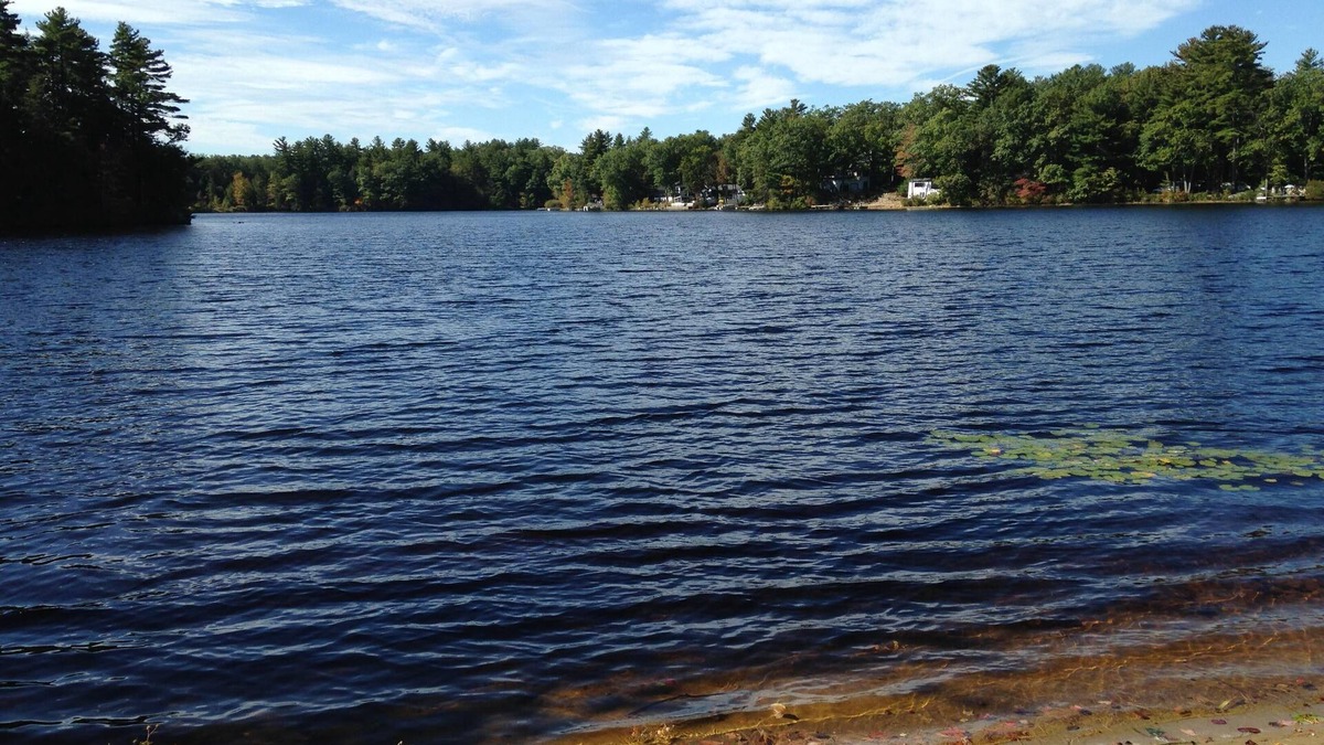 Sandown Cabin | at water's edge on quiet pond