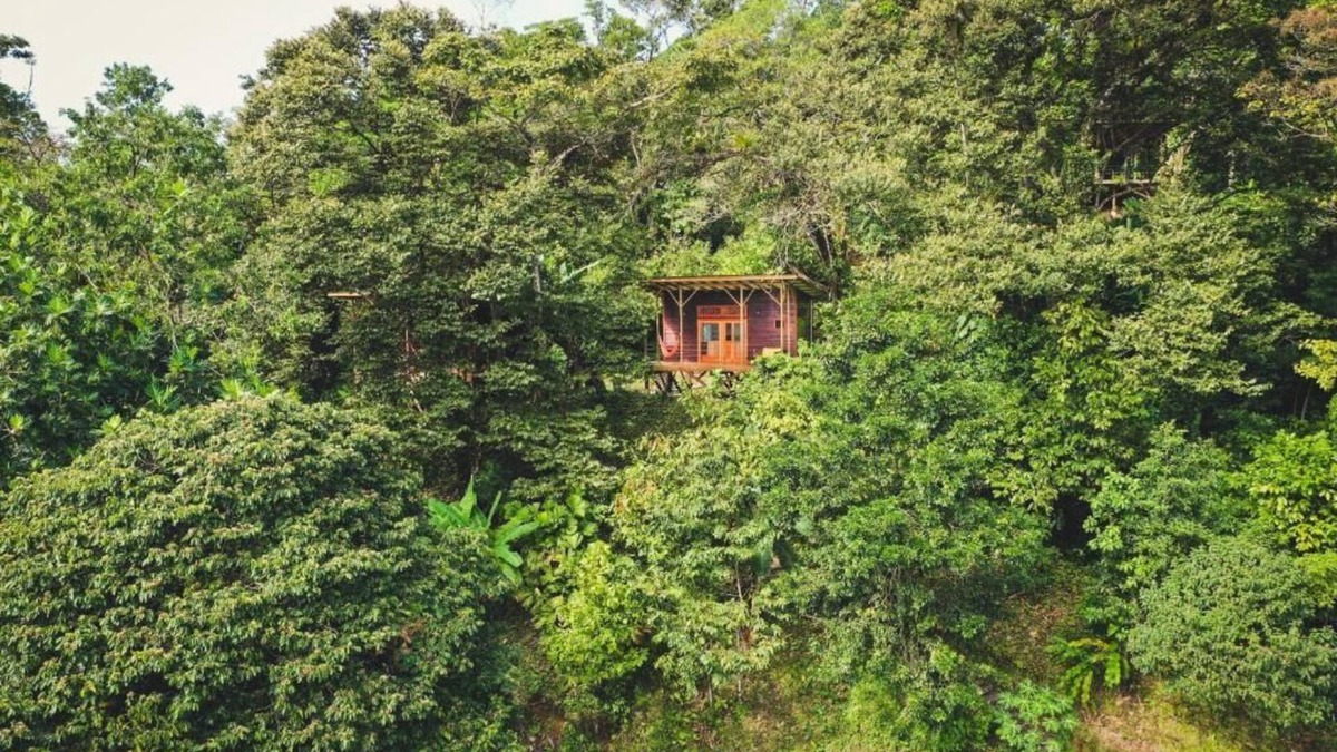 Isla Bastimentos Cabin | ataraxia bocas del toro