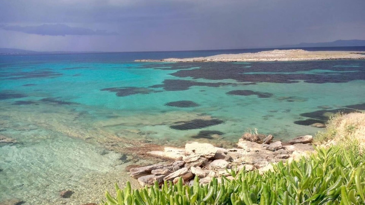 Markopoulo Mesogaias Villa | Athens Villa Seaview