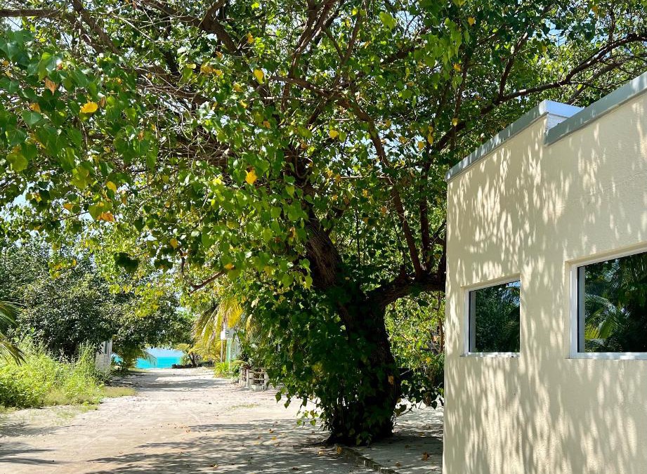 Kelaa House | Athiri Inn Kelaa