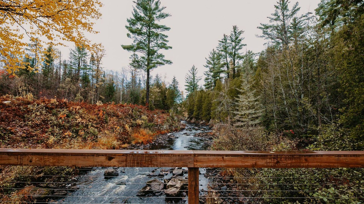 Champion House | ATV-Snowmobile Trail, Large home, sits on the peshekee river. sleeps 18 people.