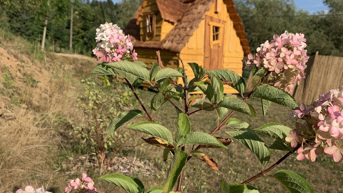 Ronchamp Cabin | Au Bonheur Comtois unusual cabin with swimming pool