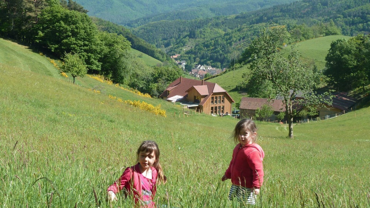 Rombach-le-Franc Other | Au Centre de L'alsace et Déjà Dans les Vosges B