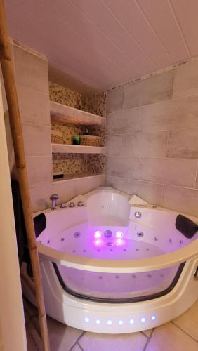 Aurec-sur-Loire Apartment | Au Fil De l' Eau