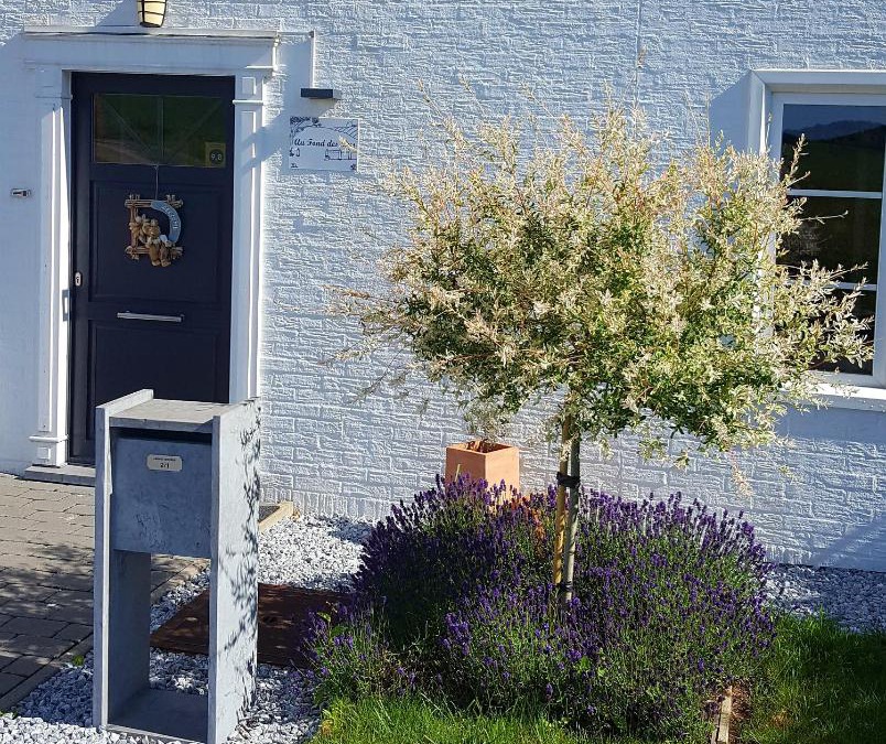 Grez-Doiceau Bed & Breakfast | Au Fond des Rys