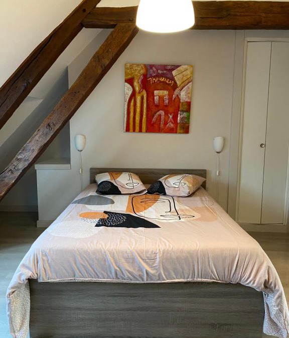 Bar-sur-Seine Apartment | Au joli Barséquanais