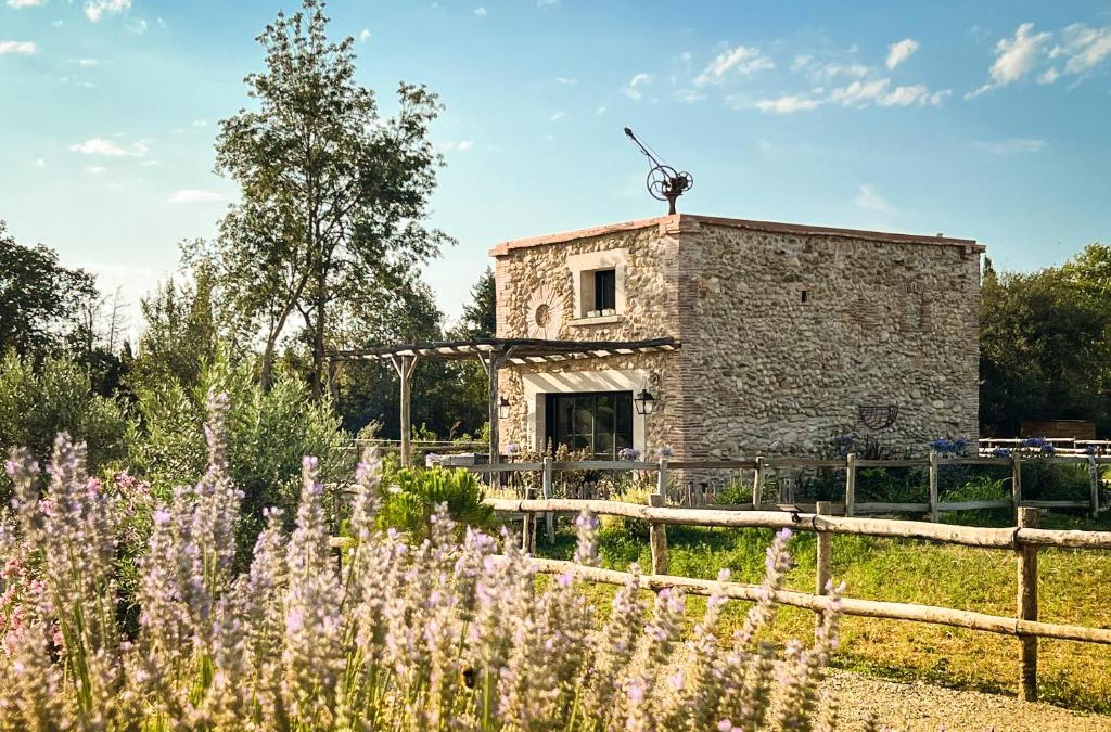 Thuir House | au milieu des vignes