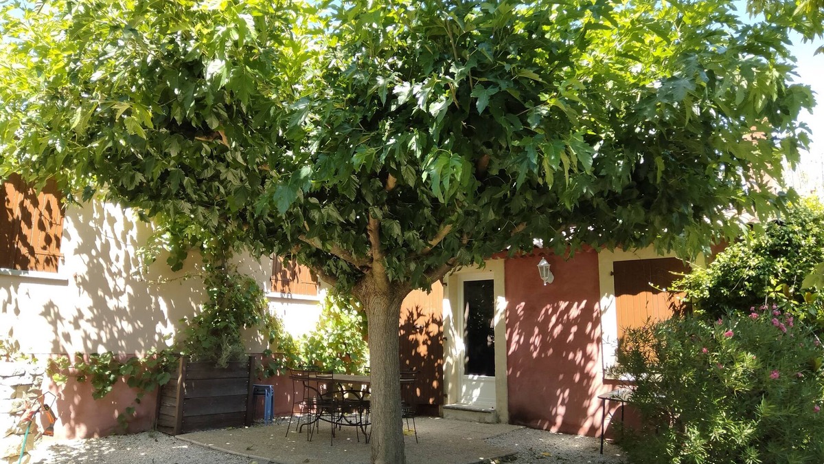 Gargas House | Au Milieu des Vignobles, Près de Plusieurs Sites Classés et Chemins de Randonnée