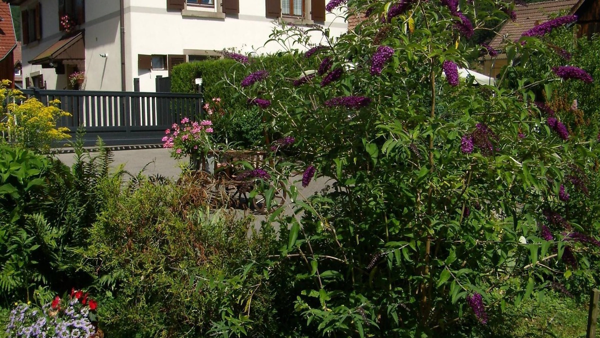 Stosswihr House | AU SCHNEIGET large detached house.
