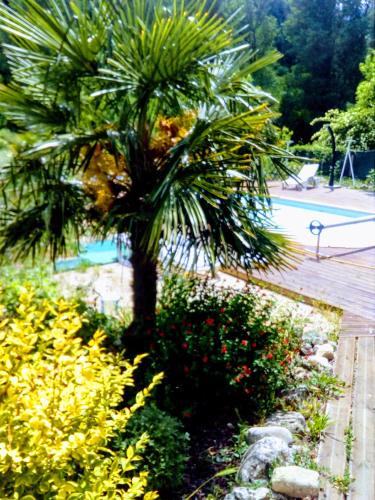 Barnas Hotel | Auberge de Barnas