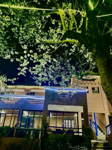 Imlil Hotel | Auberge De La Vallée