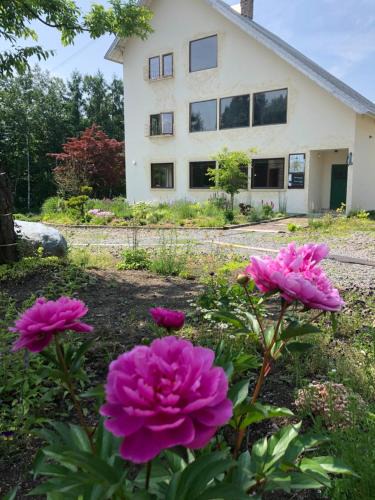 Biei Hotel | Auberge Ninguruforet