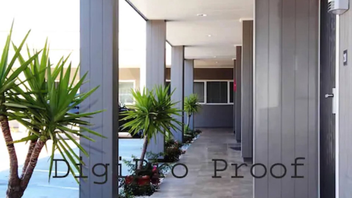Remuera Hotel | Auckland Phoenix Palm