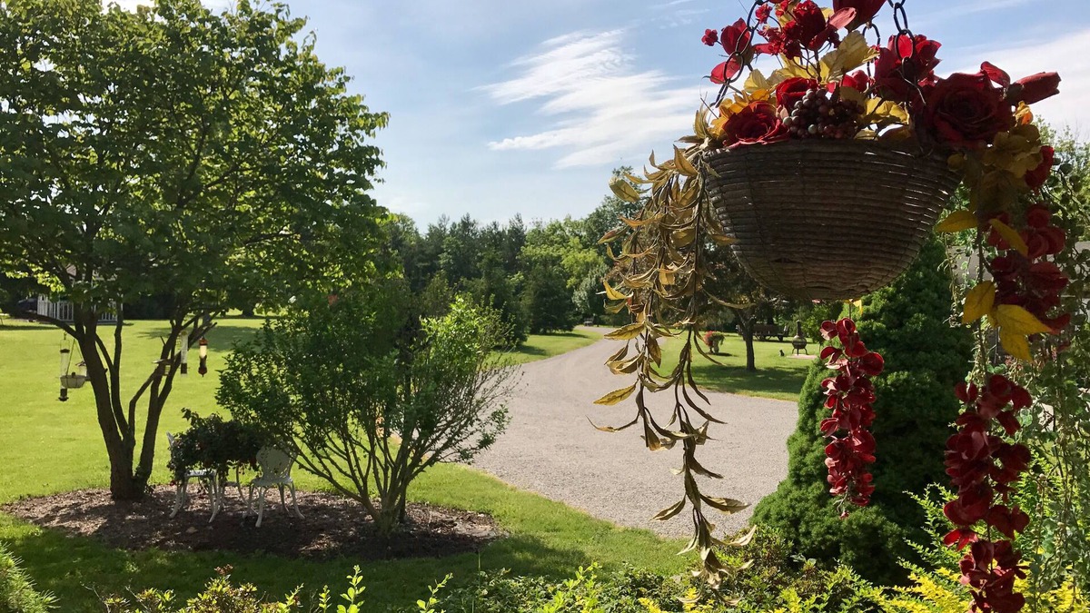 Oberlin Cottage | Aunt Connie's Cottage