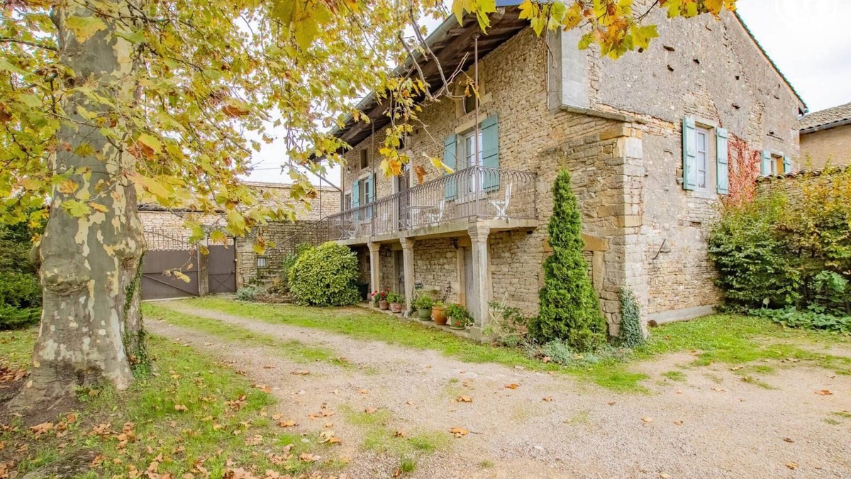 Plottes House | Auprès de mon arbre - PLOTTES