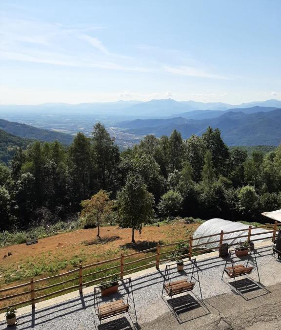 Sant'Anna Apartment | Aurora