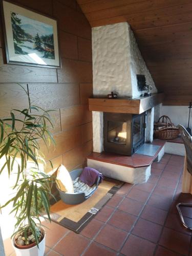 Winzer Apartment | Aussergewöhnliche Atelierferienwohnung mit Balkon an der Donau