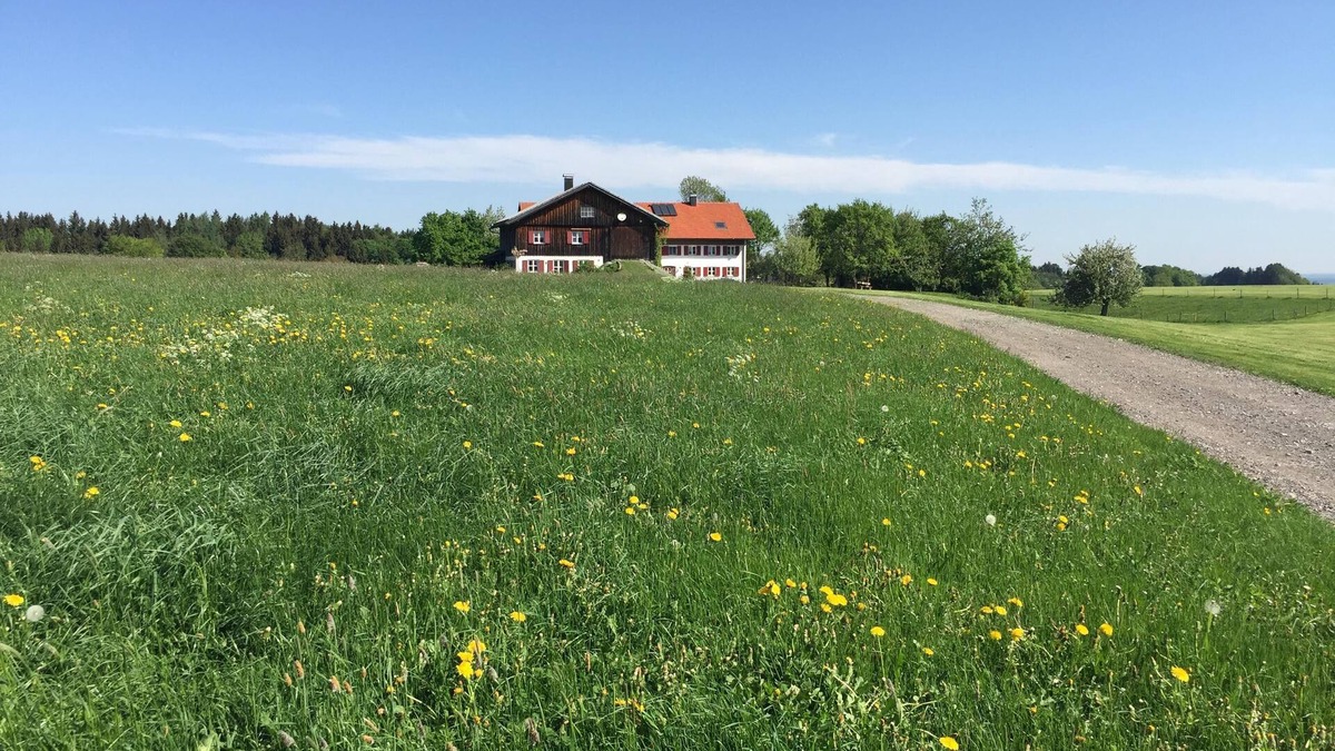 Kaufbeuren House | Aussiedlerhof surrounded by meadows and forests, tasteful antique furnishings