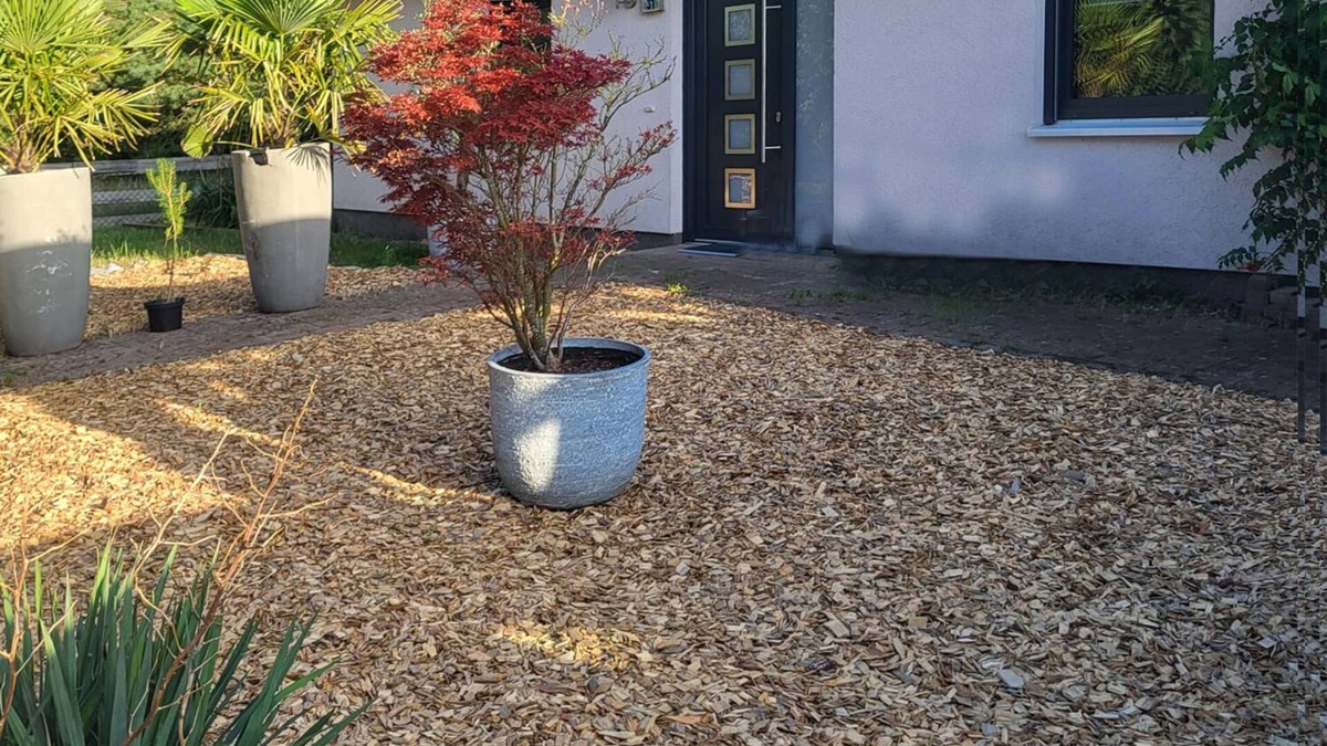 Ahlbeck House | Auszeit in Ahlbeck am Stettiner Haff