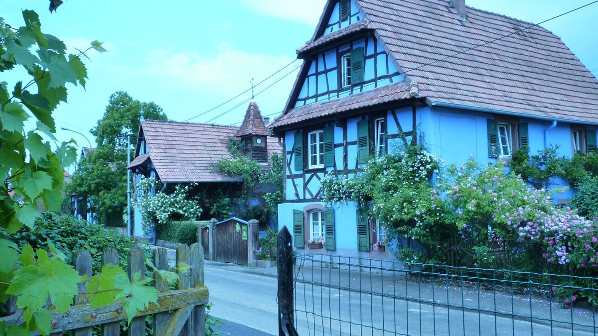 Uttenhoffen Other | Authentic Alsatian house with magnificent garden