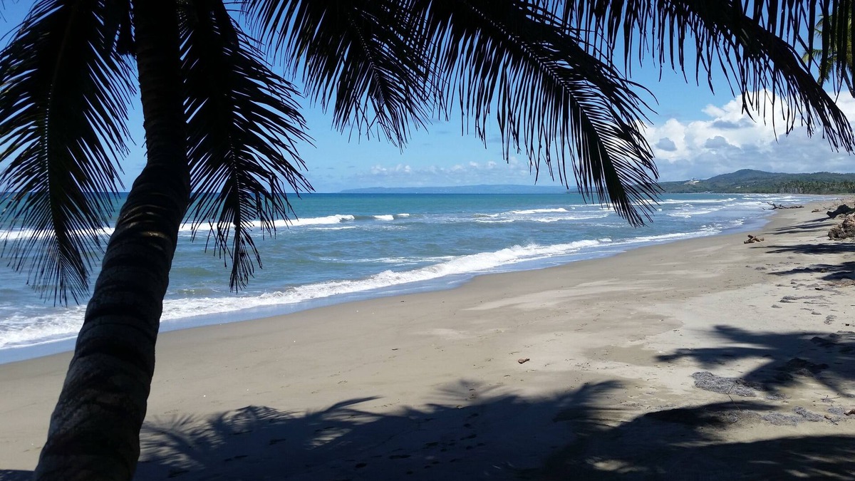 Las Canas House | Authentic Beachfront Caribbean Hideaway-Crashing Surf, Palms, & Tradewinds!