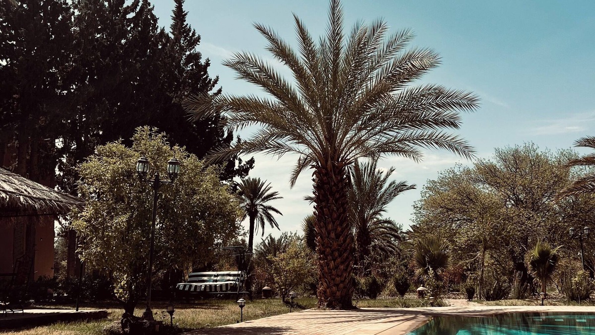 Skoura House | Authentic castle in the south of Morocco located in the Palmeraie of Skoura.