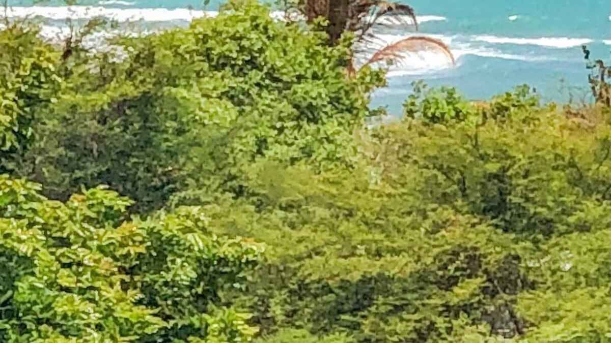 Bull Bay House | Authentic Jamaican Experience