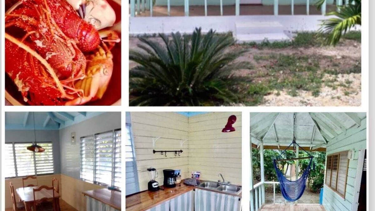 Little Bay Cottage | Authentic Jamaican Vibe Fruit Tree Beach, Little Bay Jamaica