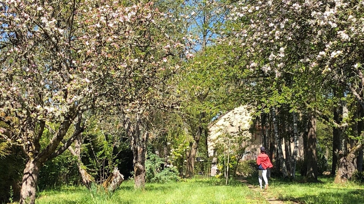 Sainte-Marie-la-Blanche House | Aux Portes de Beaune, Maison de Vacances 100m2 Rénovée et Climatisée 6/8 Pers