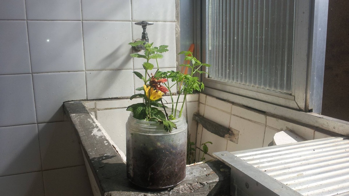Cristo Redentor Apartment | Available to rent apartment. 1 bedroom 13 m², with furnished bathroom. Large pieces.