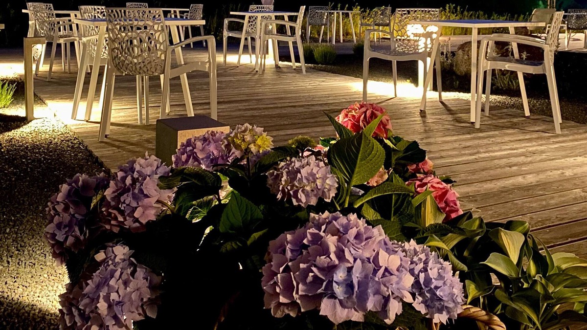 Marktredwitz Hotel | Avaneo Hotel Marktredwitz