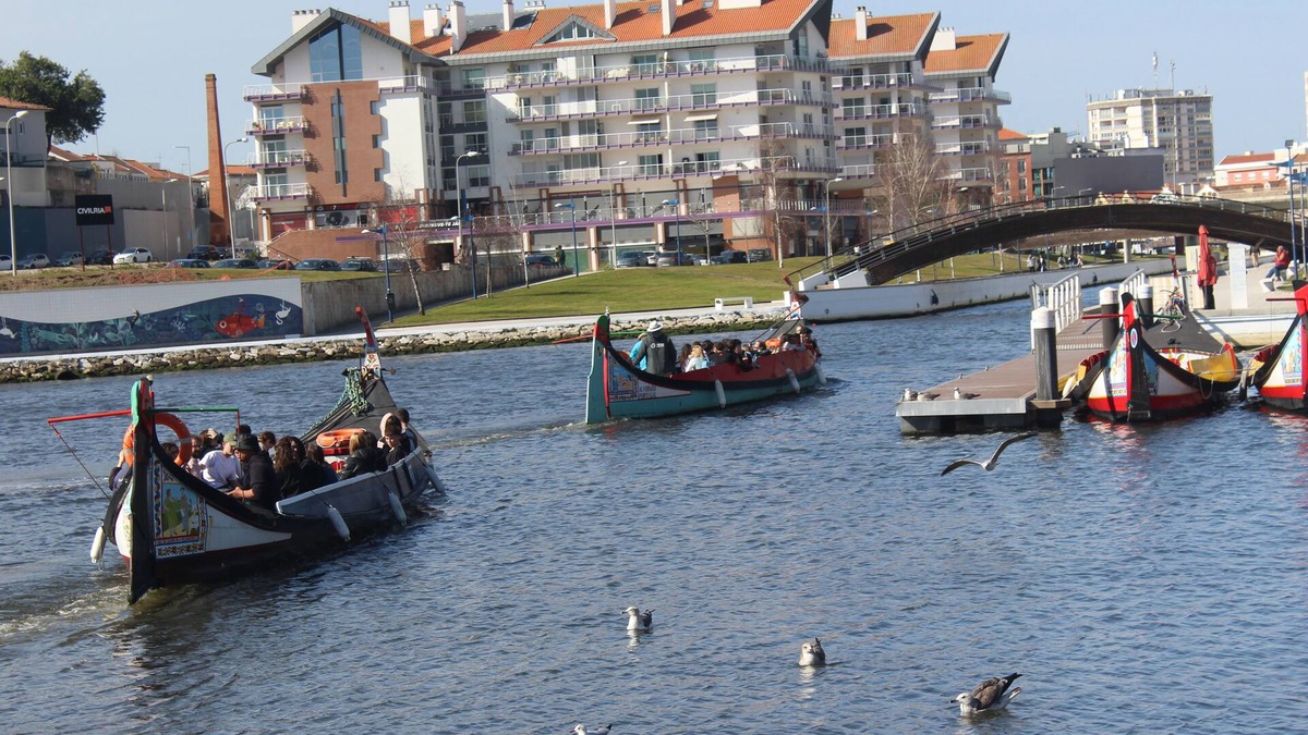 Aveiro Apartment | Aveiro Wonder Stay
