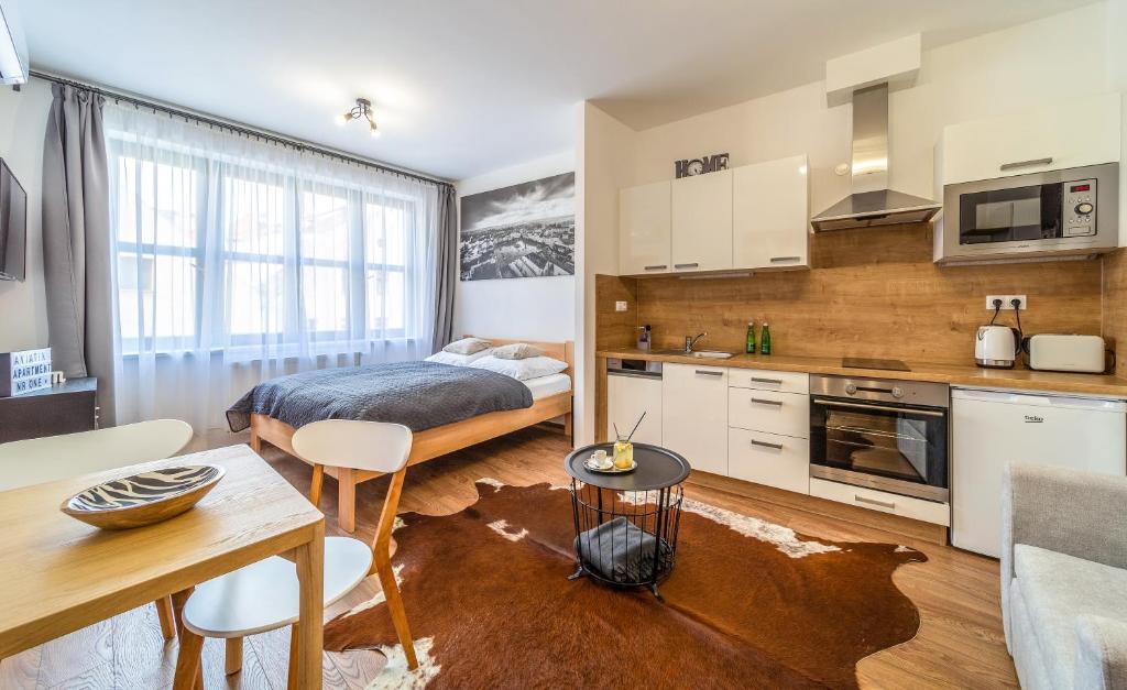 Ceske Budejovice Apartment | Aviatik apartments