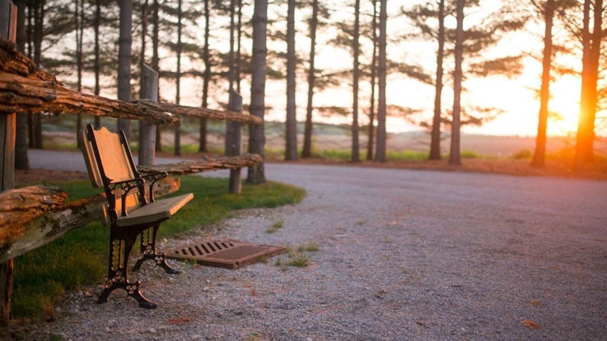Granton House | Awaken to nature’s beauty at Whispering Pines Retreat!