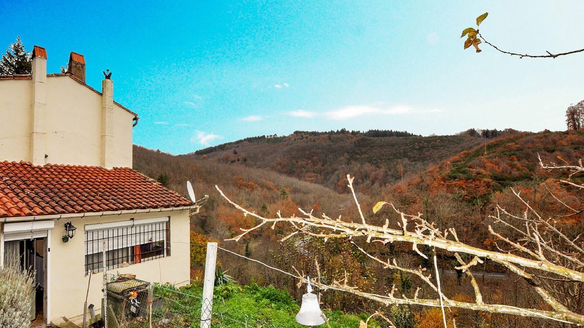 Mazamet House | Awesome home in Mazamet