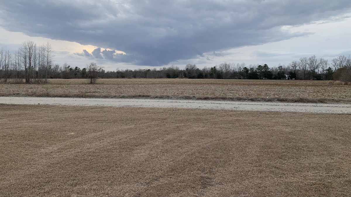 Lake City House | Awesome sky views in the country but close to town