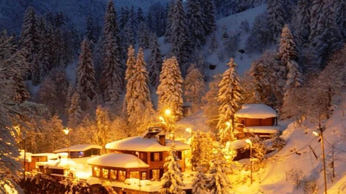 Ayder Yaylasi Hotel | Ayder Avusor Butik Otel