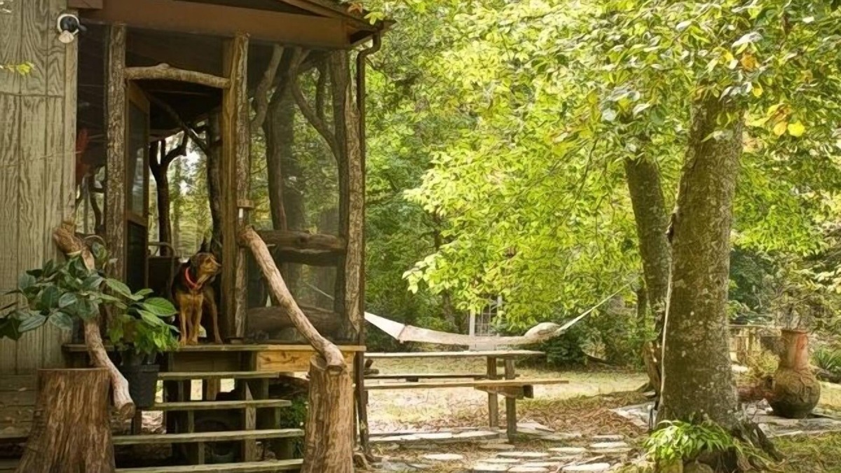 Acquinton House | Aylett River Paradise: A whimsical gem designed to harmonize with nature.