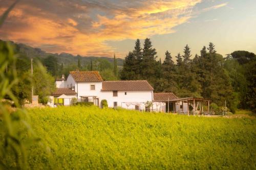 Lastra a Signa House | Azienda Agricola I Colli di Marliano
