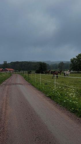 Skovde Municipality House | Bäckagården - self catering cabin