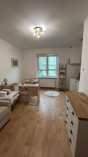 Decin Apartment | Bílý klid nově zrekonstruované studio