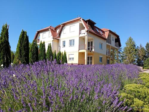 Bukkszentkereszt Apartment | Bükkszentkereszt Oxigén Apartman