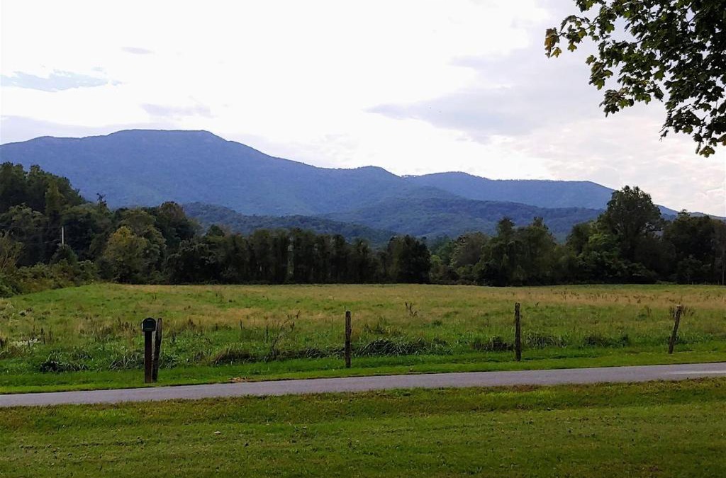 Luray House | B And A Lake Cottage