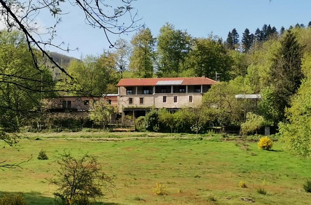 Labastide-Rouairoux Bed & Breakfast | B and B Sycomore, La Bouriotte