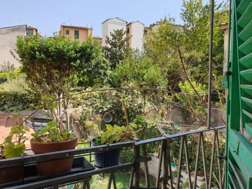 Santo Spirito Bed & Breakfast | B&B Air Green Serragli