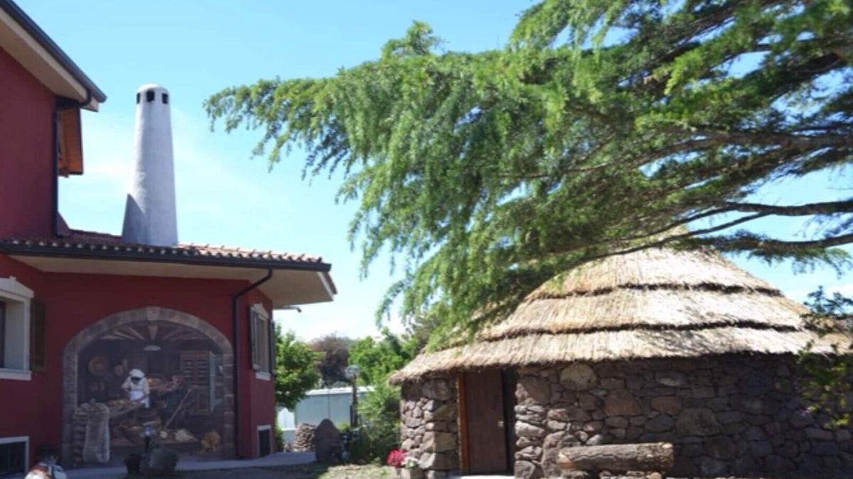 Sassari House | B & B "Antica Botte" Bungalow sa pinnetta - Sardinian hut - Sardinian hut